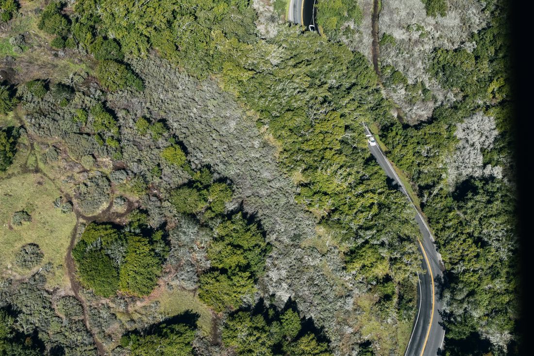 An aerial view of a winding road crossing open countryside.