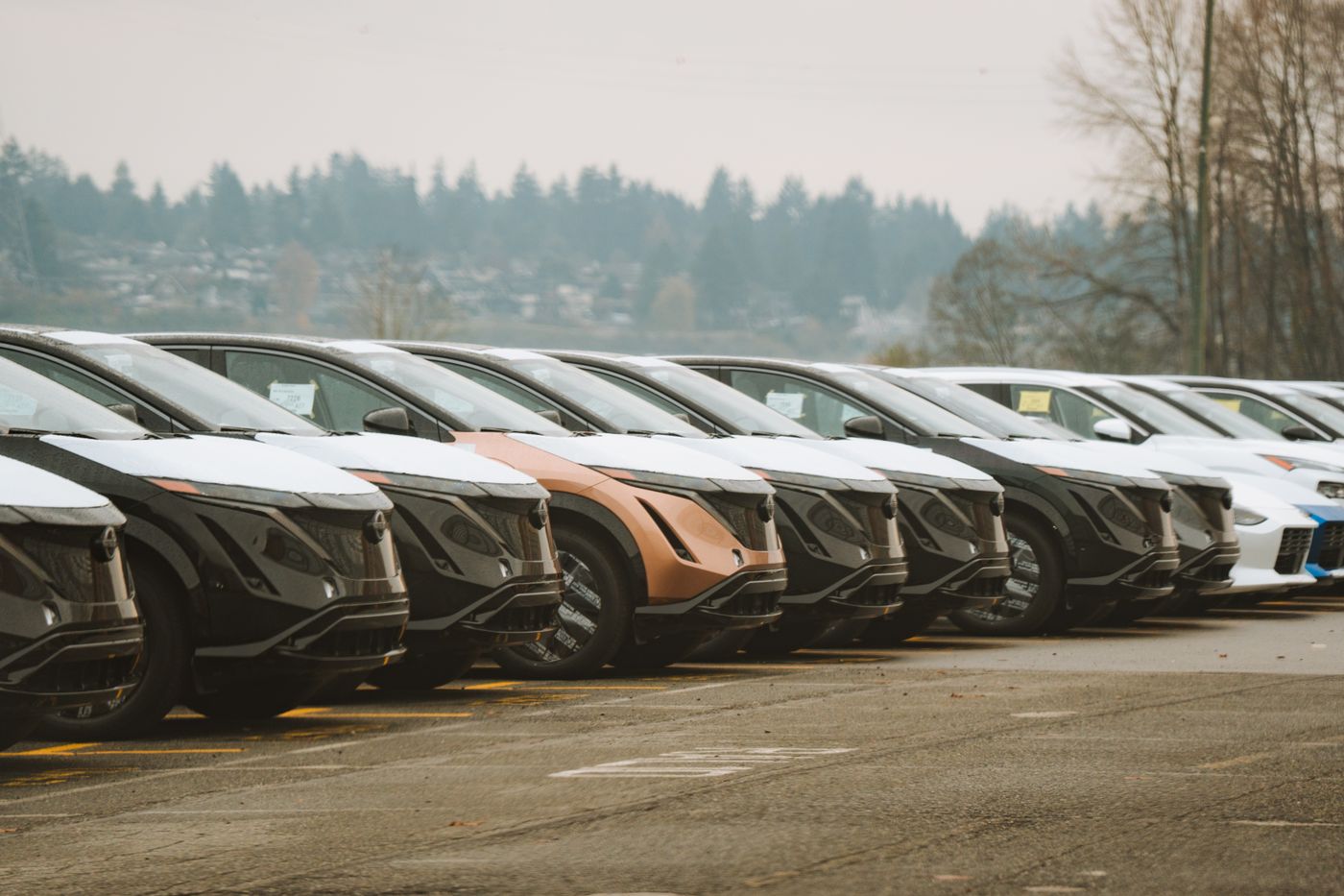 Rows of new cars parked on a dealership forecourt.