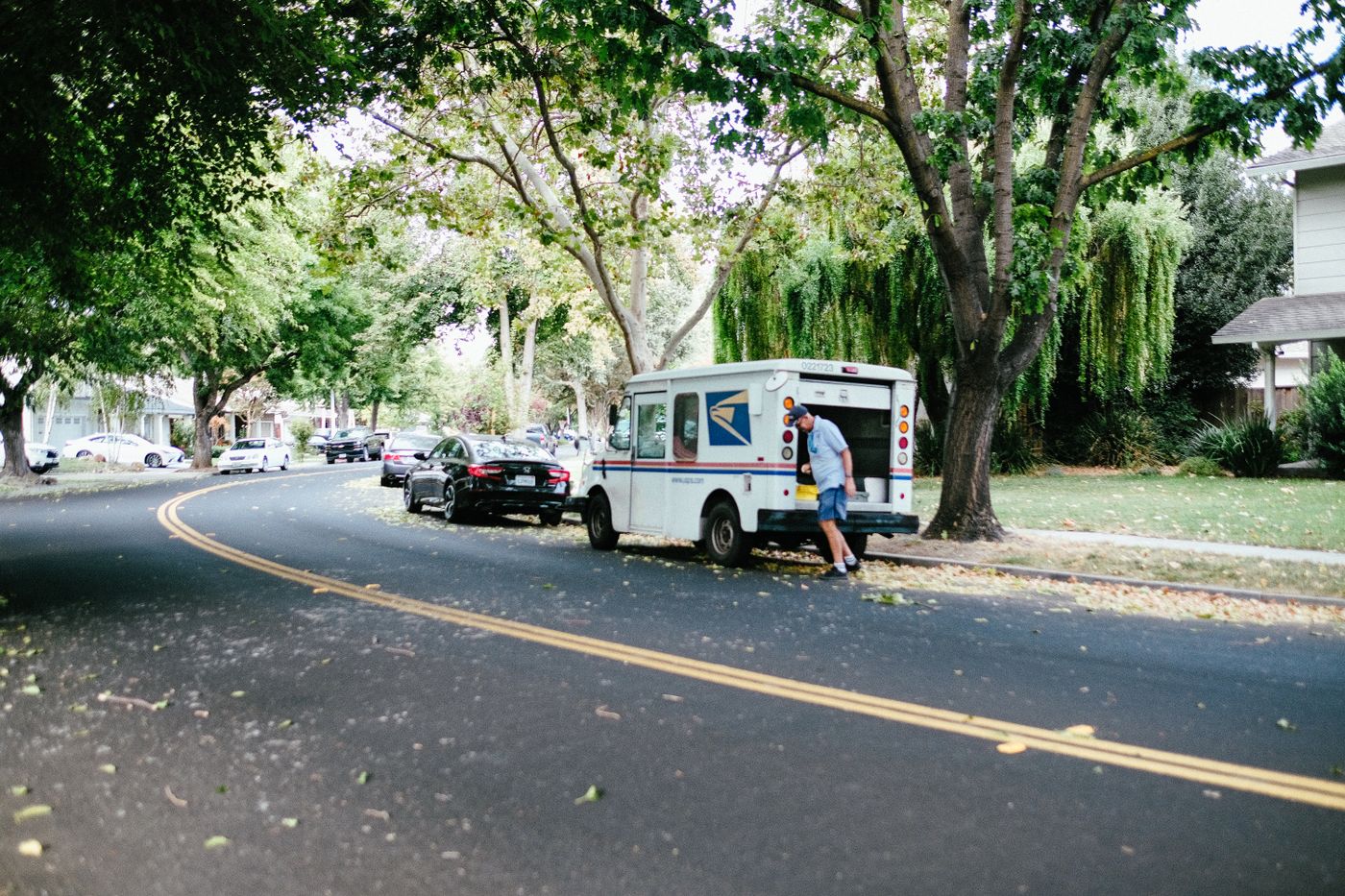 A letter carrier reaching into the back of a USPS mail van parked under trees on a curving residential street.