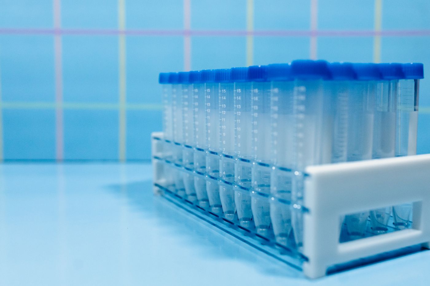 A rack of blue-capped plastic test tubes on a pale blue surface.